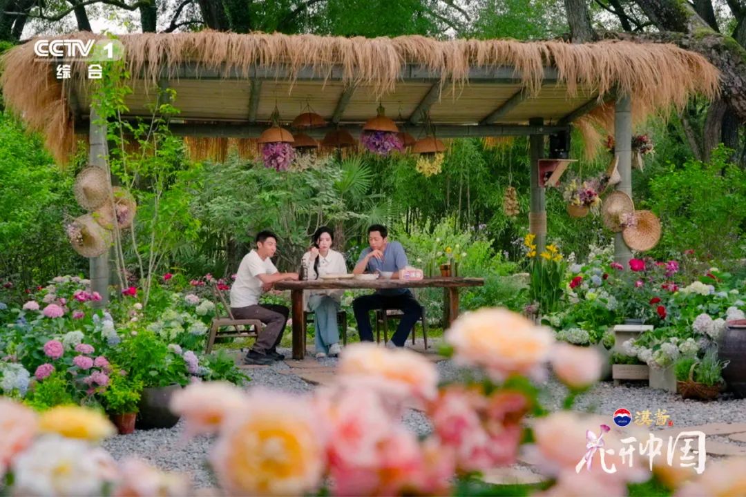 《花开中国》开播，在繁花中遇见美好生活