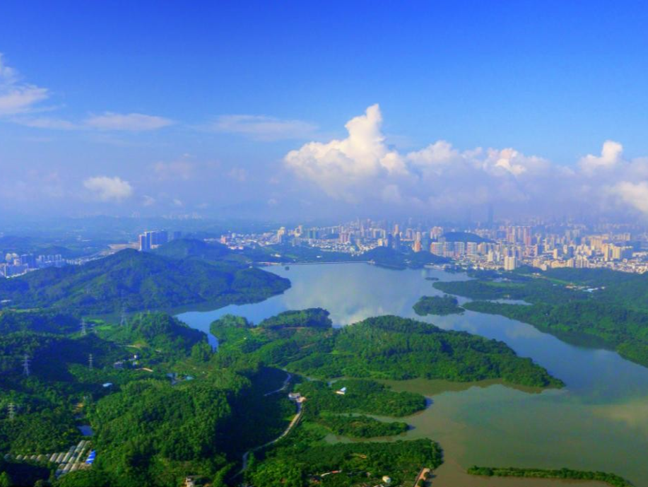 逐绿而行绘锦绣，“两山”转化新答卷！深圳市罗湖区加快推进生态文明建设的实践探索