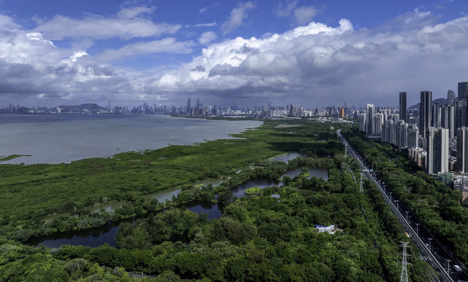 深圳年均新建公园30个 远足径渐成网络 骑行道添新里程 “整个城市就是一个大公园”