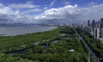 深圳年均新建公园30个 远足径渐成网络 骑行道添新里程 “整个城市就是一个大公园”