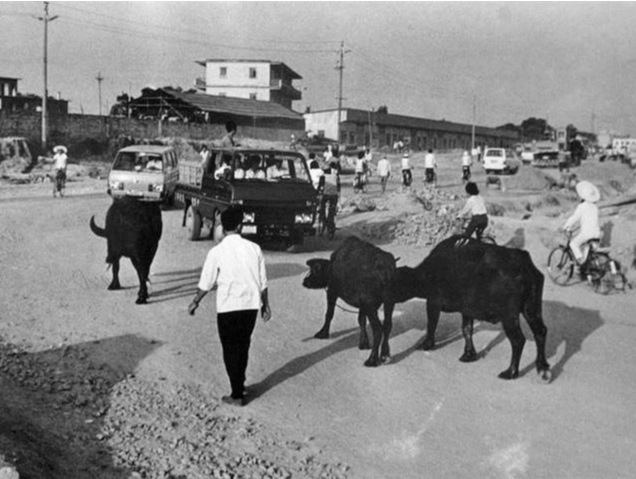 镜头里的深圳瞬间 | 深南路他修过，《深南大道》他画过