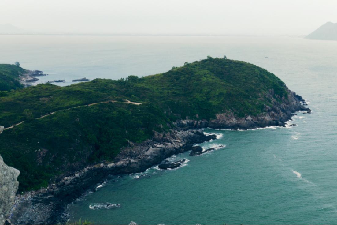 扎根与生长，青年视角下的深汕文旅生态图景