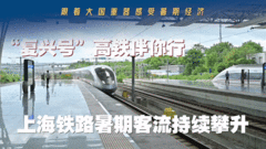 “复兴号”高铁伴你行：上海铁路暑期客流持续攀升