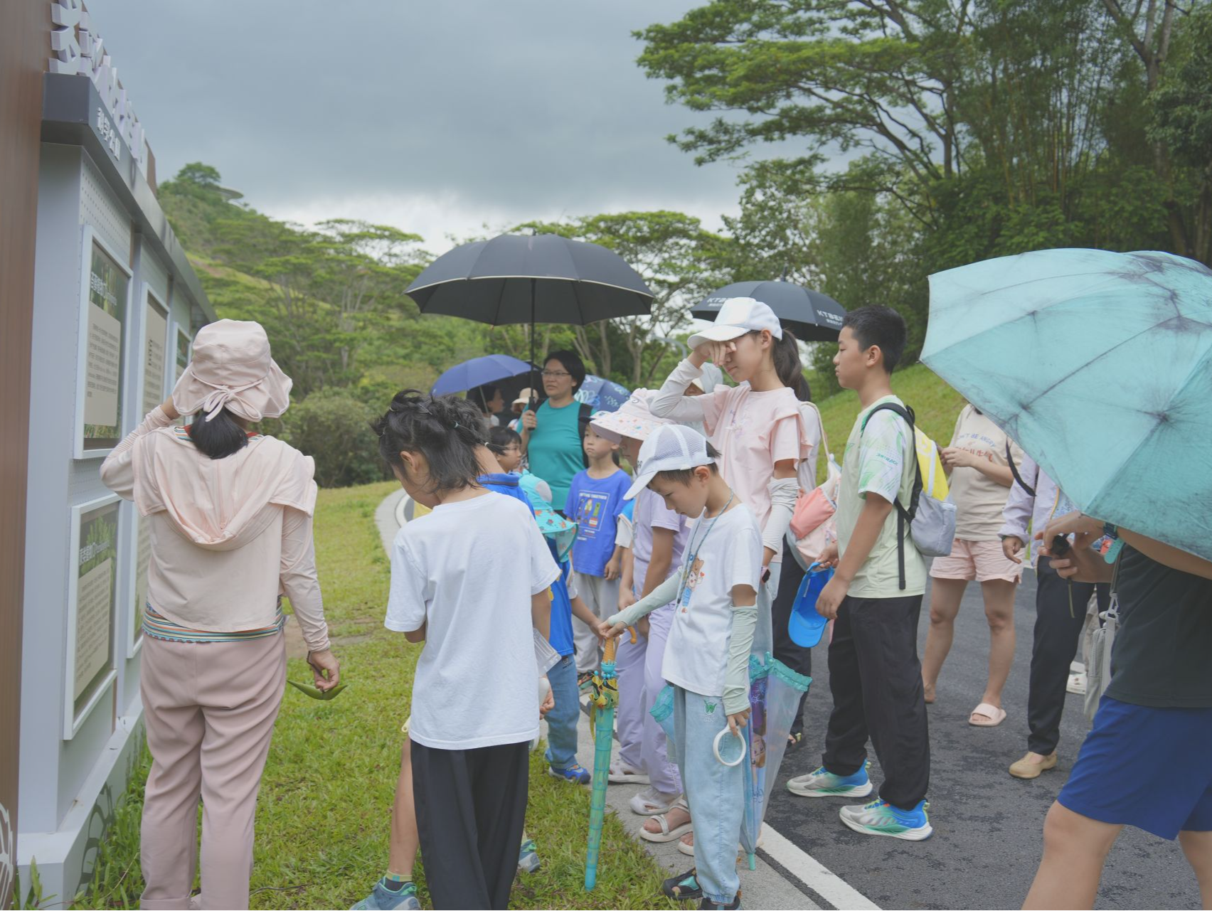 这场有毒植物科普课为东莞青少年解锁自然安全探索新技