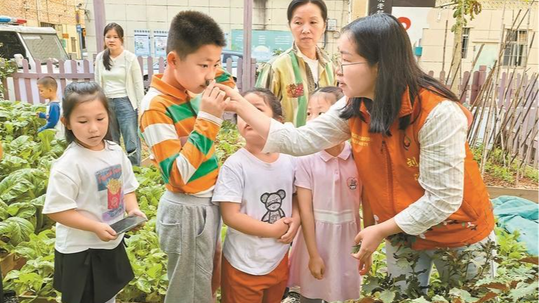 聚焦三大重点领域 破题“百千万工程”！龙华区以“1+10+N”为主要抓手，聚焦“城中村、股份公司、农地”打造亮点典型