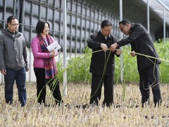 山海不远：这场跨越千里的“双向奔赴” 何其动人！