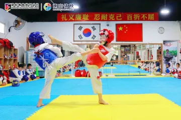 13金12银7铜！南山跆拳道队蝉联市赛七连冠