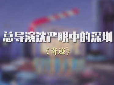 《奇迹》总导演沈严眼中的深圳：这是一座城的奇迹，也是一城人的奇迹