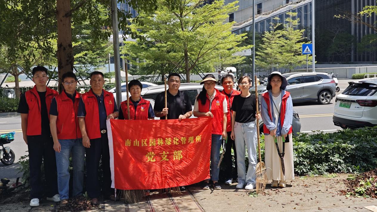 南山区西丽街道多方联动焕新颜，爱国卫生护家园