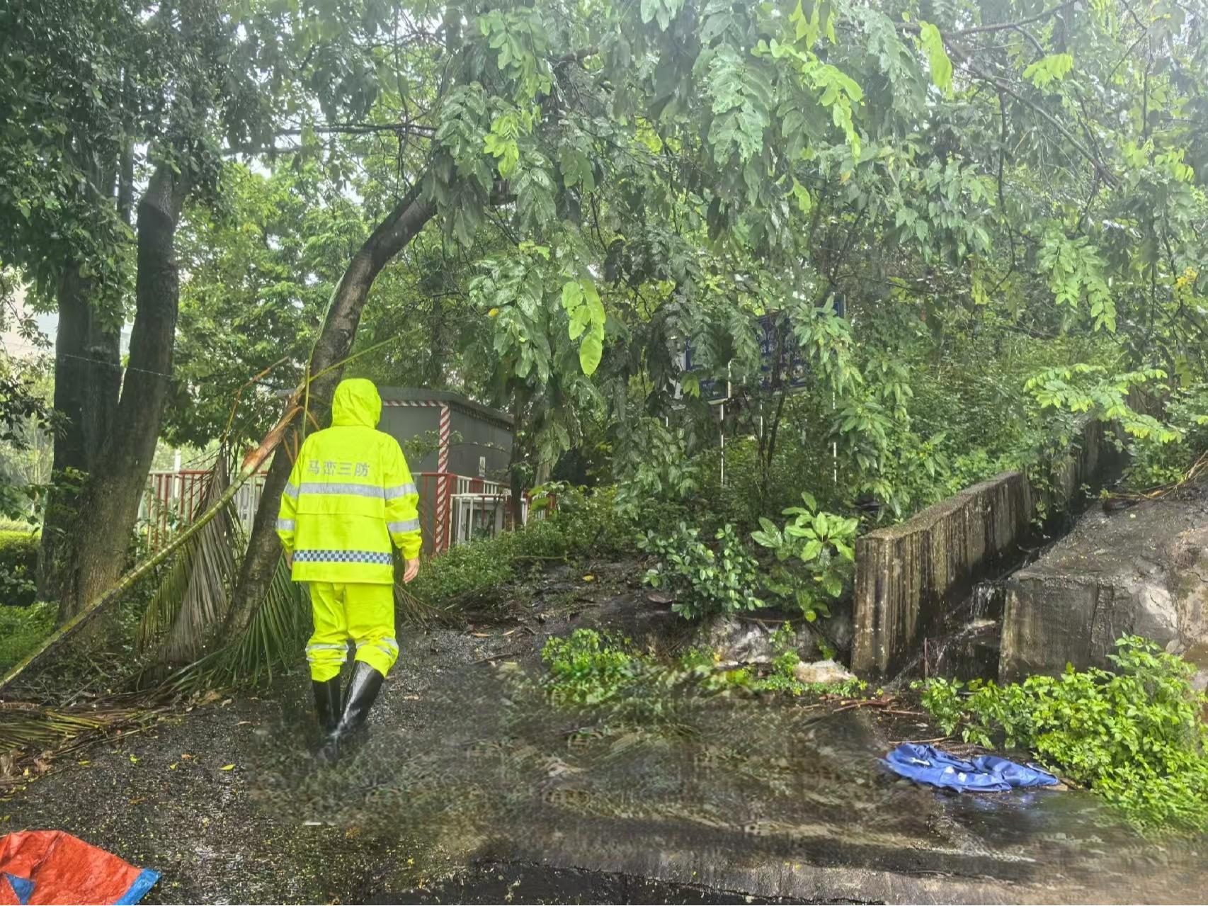 雨前排查，雨中巡查，雨后核查！马峦街道筑牢防汛“安全堤”
