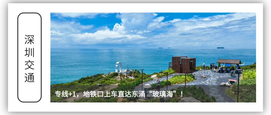往期回顾(1).png