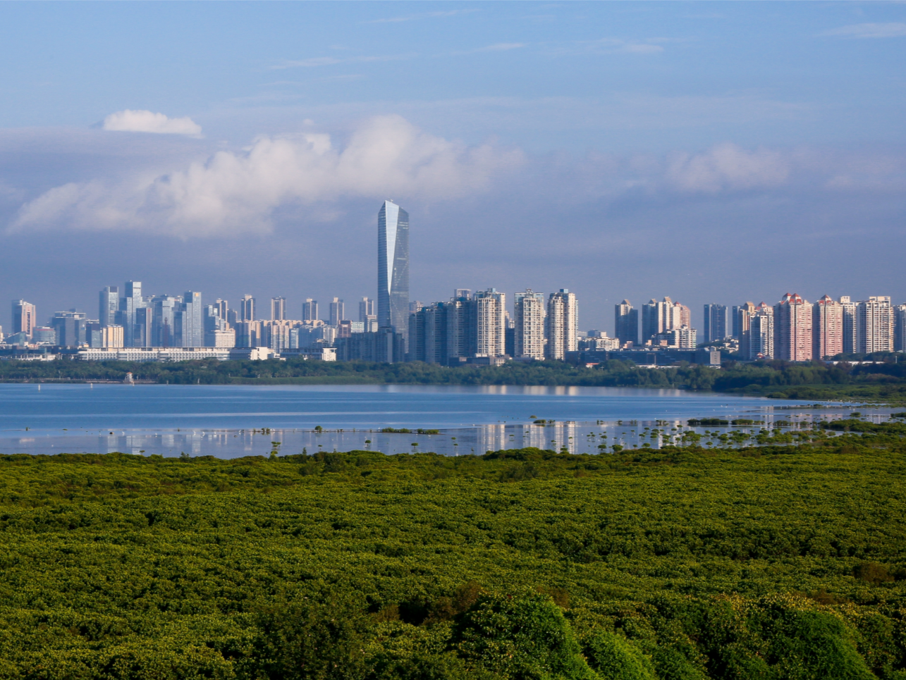 深圳市委改革办副主任 孙华明：用足用好深圳综合改革试点关键一招 在进一步全面深化改革中走在前列勇当尖兵