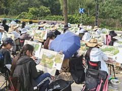 山东蒙阴：一张林票富了乡亲美了青山