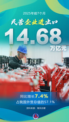 （图表·海报）2025年前7个月我国外贸保持向上向好势头（5）