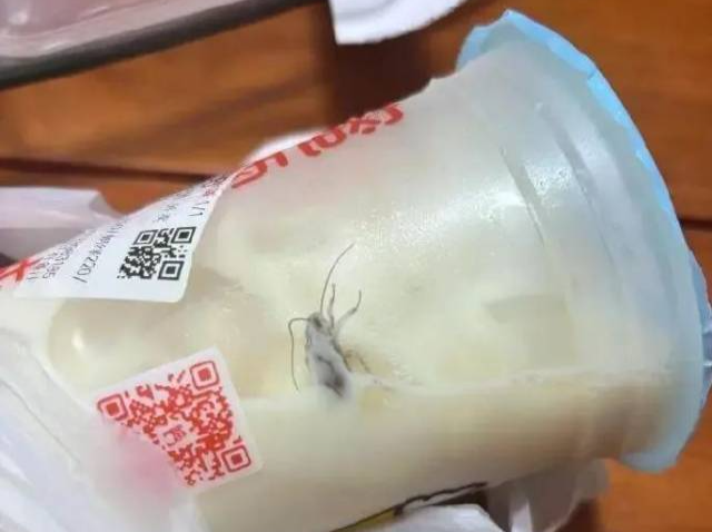 蜜雪冰城被曝：未开封奶茶里有蟑螂