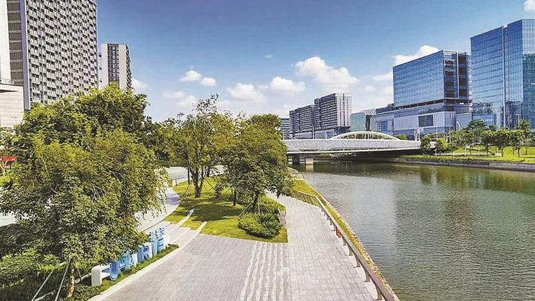 福海街道：从胥民渔火到湾区智核 绘就宜居宜业新图景