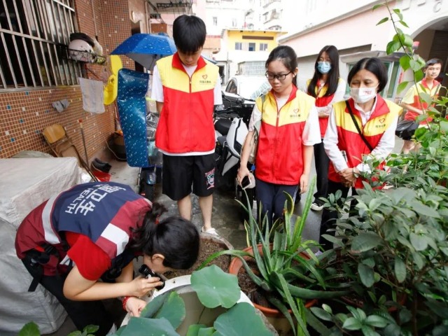 以训促防、发动青年志愿者……东莞镇街筑牢防蚊灭蚊防线