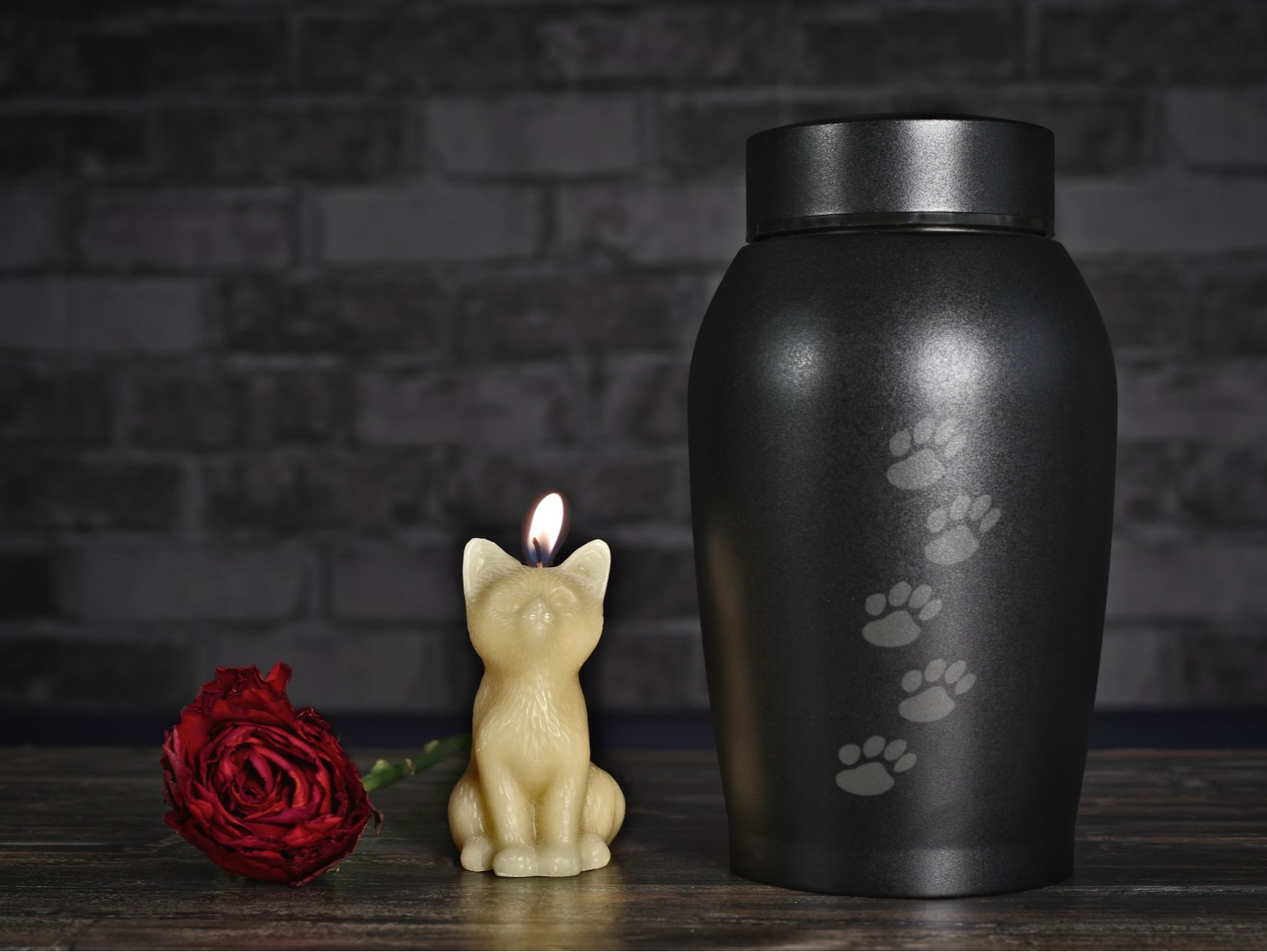 可“通灵”找到“投胎转世”宠物？诈骗团伙瞄准铲屎官痛点 