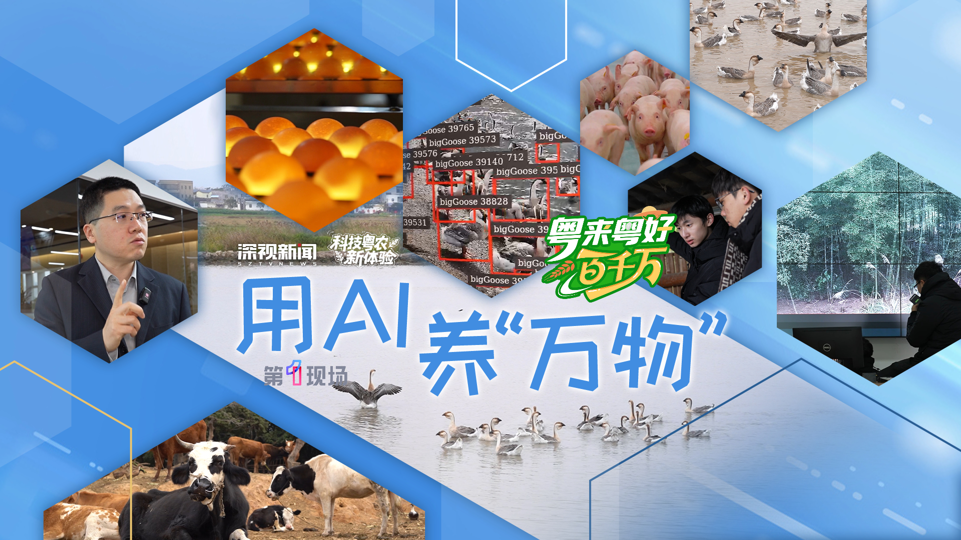 农业与AI会碰撞出怎样的火花？一起探寻在广东用AI养“万物”背后的故事