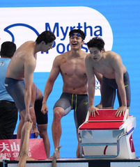 （游泳世锦赛）（43）游泳——男子4X200米自由泳接力决赛赛况