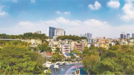 龙华聚力“百千万” 共绘新图景