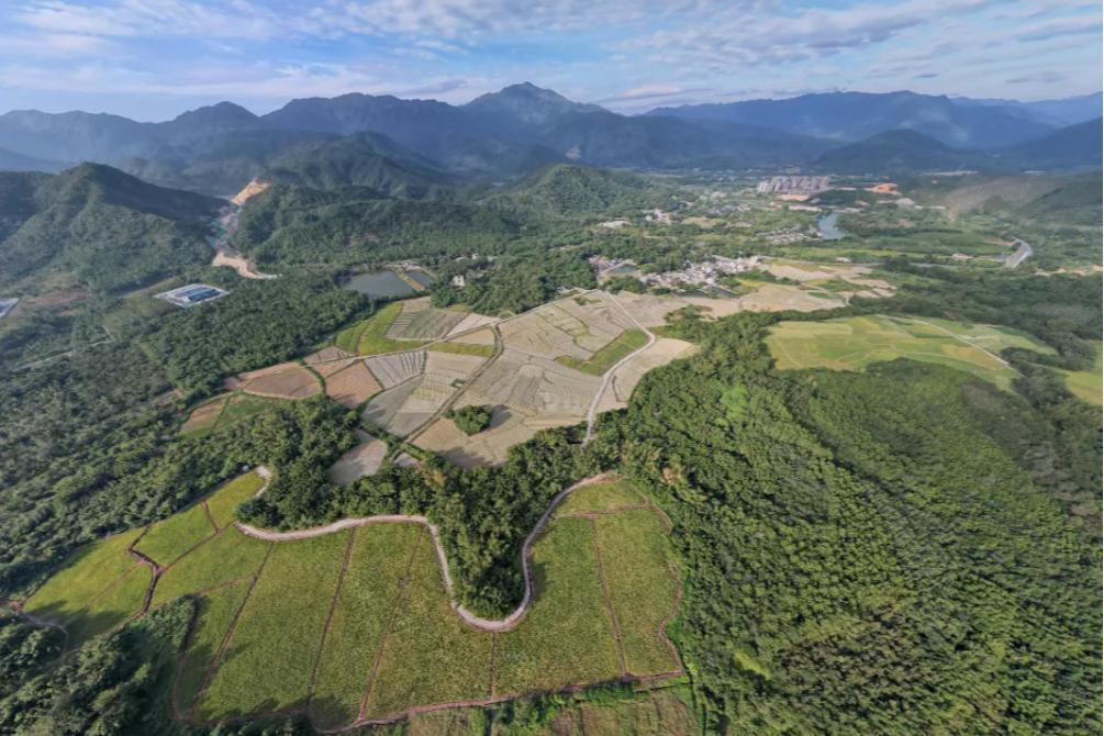 深圳首个省级全域土地综合整治方案获批