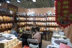 2025北京国际茶业及茶艺博览会（秋季）开幕（5）