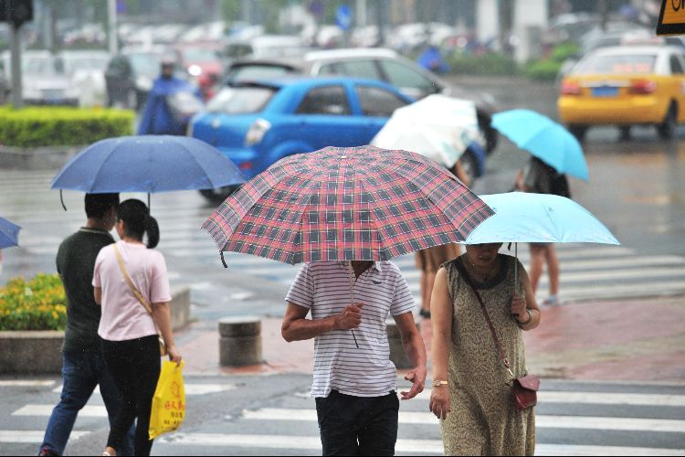 注意防御！中山雷雨大风黄色预警生效
