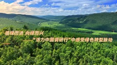 活力中国调研行｜循绿而进 向绿而兴——在“活力中国调研行”中感受绿色转型脉动