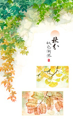 （图表·插画）图说节令·秋分丨昼夜平分下的自然交响曲（6）