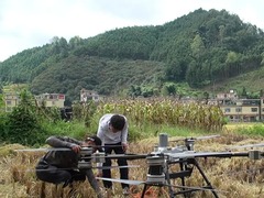 贵州册亨：“地空”联动 粮食生产跑出“加速度”