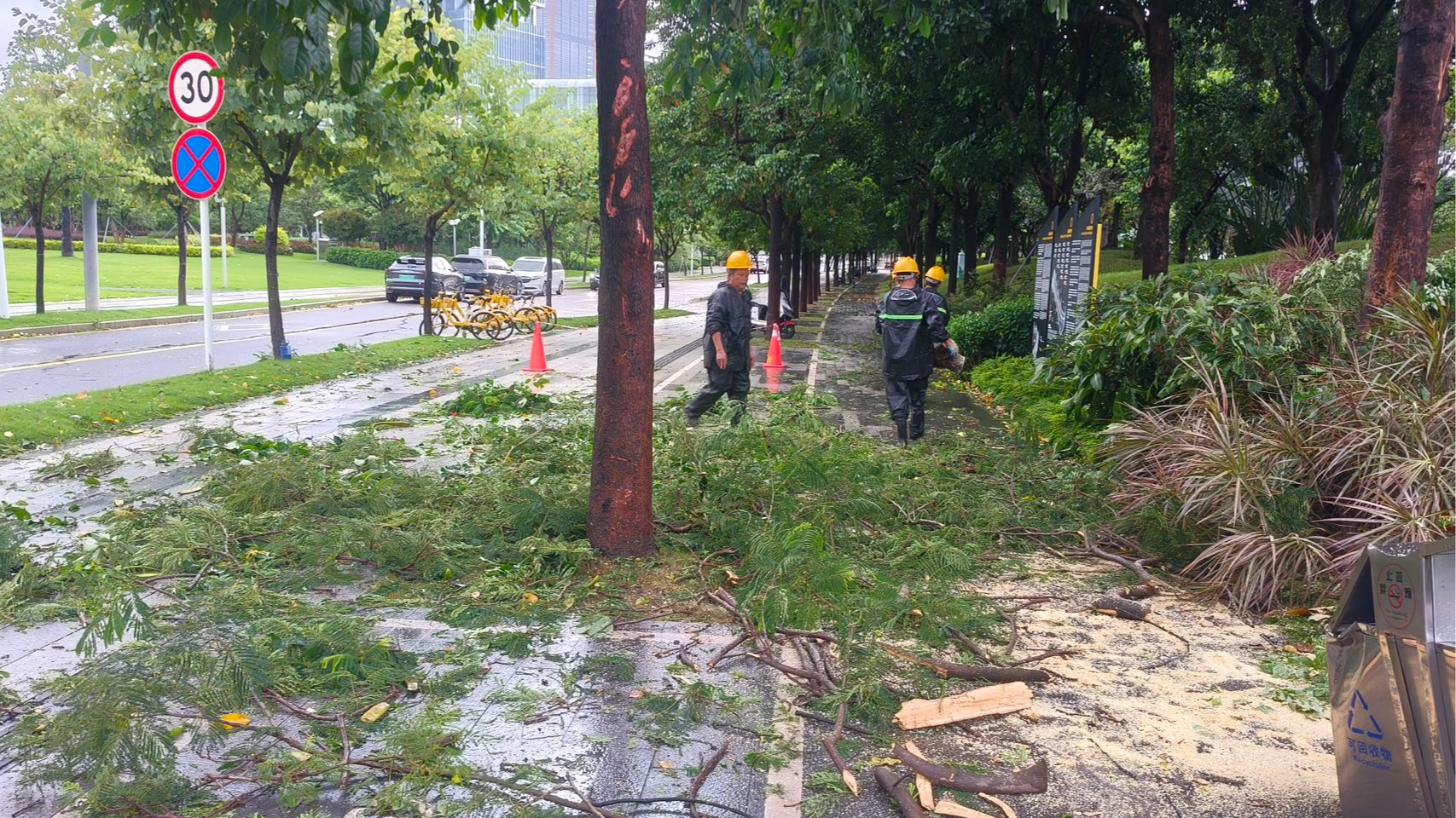 风雨无阻，全力清障！前海保障道路畅通与市民安全