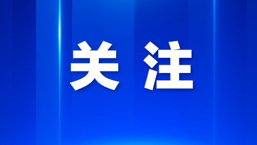 凤凰街道多元文化助力国际化街区建设