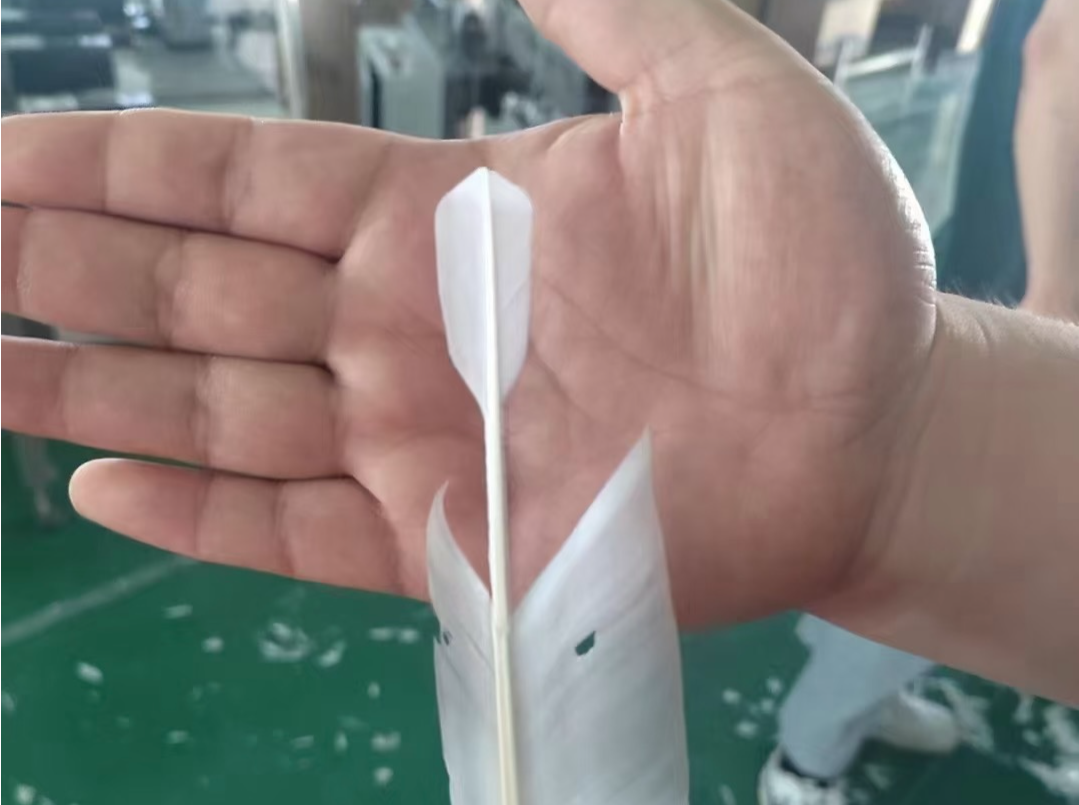 羽毛球越来越贵，背后“推手”究竟是什么？