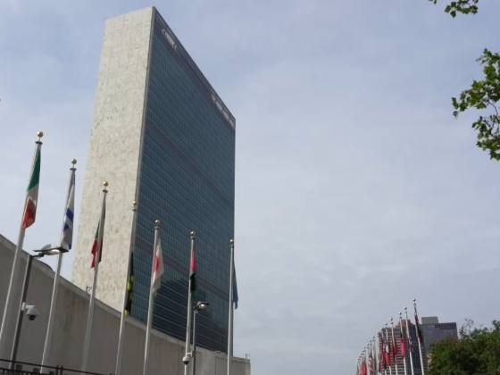 美国再次一票否决安理会加沙决议草案