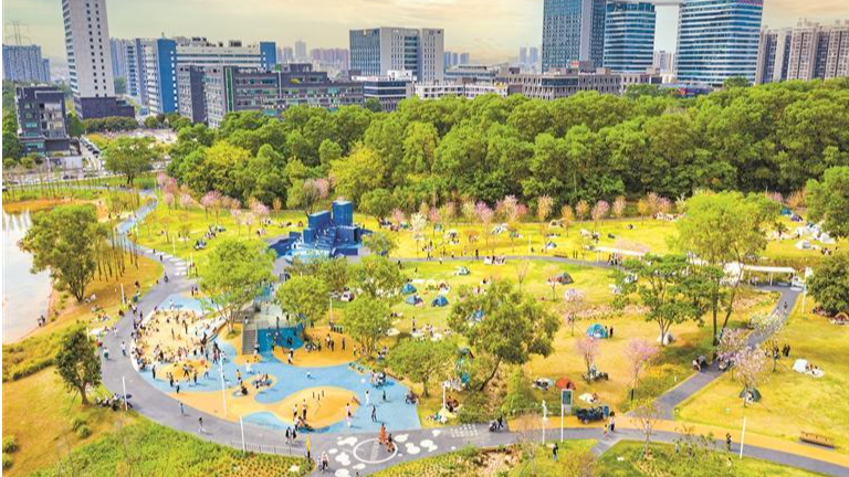 龙华区全面推进城市环境提升与十五运会氛围营造工作