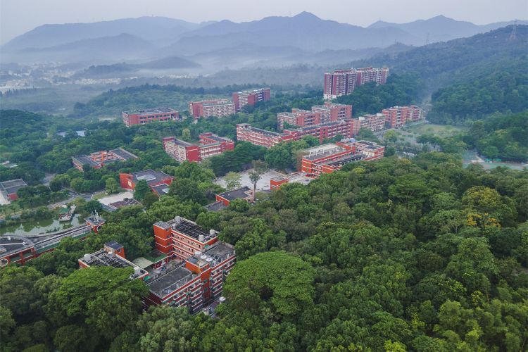 香山时评｜掌声回响，是中山教育事业高质量发展的最强底气