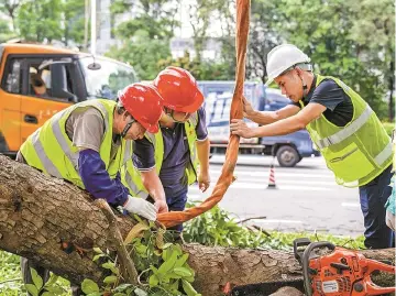 评论丨“一键暂停”与“一键复活”背后的共同守护