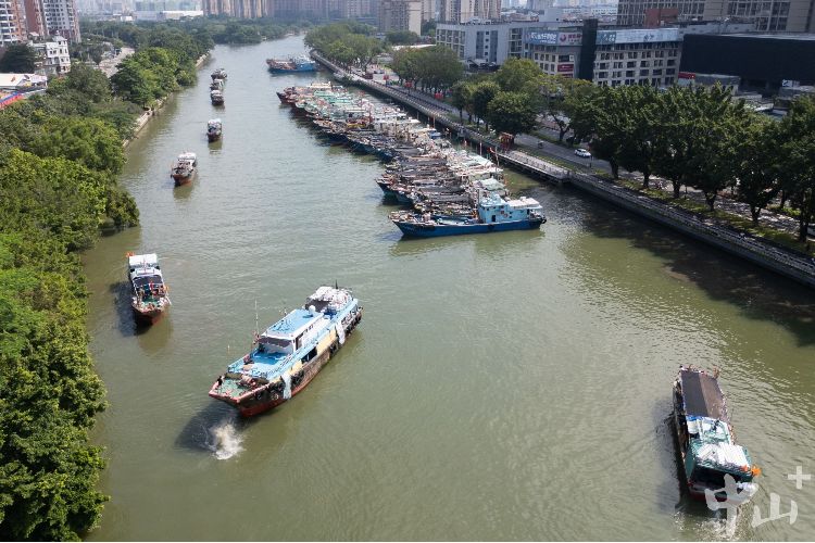 述评丨中山防“风王”：以万全准备，护百姓平安