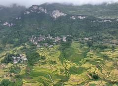 金秋好“丰”景（18）#