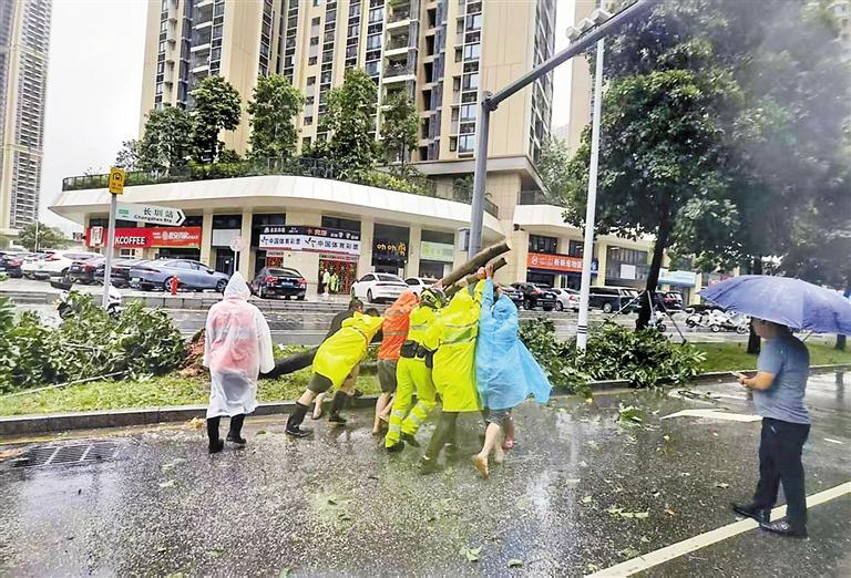 光明有爱 市民有情