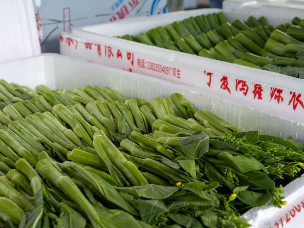 迎战台风“桦加沙”！深农集团全力守护城市“菜篮子”量足价稳