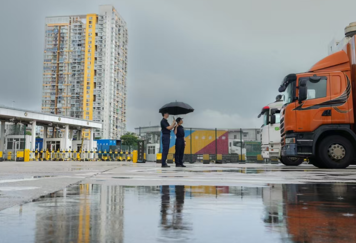 台风期间供港“绿色生命线”有序通畅，海关多措保障香港市民餐桌供应