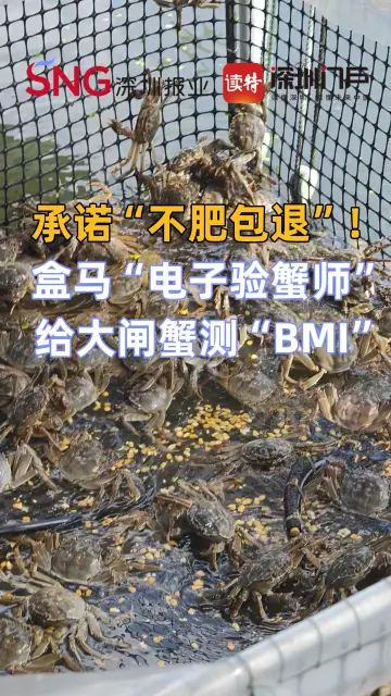 盒马“电子验蟹师”上线！给大闸蟹测“BMI”，承诺“不肥包退”