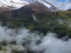新疆白哈巴：雨后云海 如诗如画