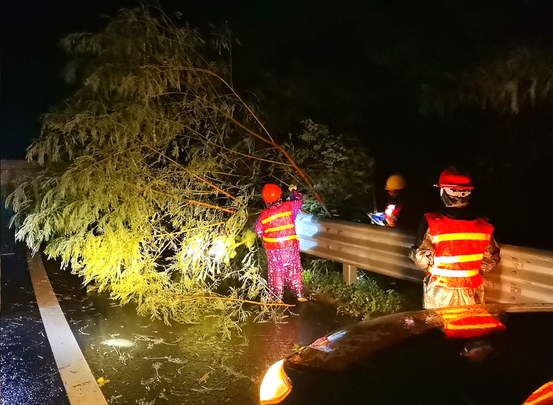 持续奋战台风“桦加沙”，粤西茂湛、包茂高速和西部沿海高速全线复通