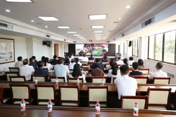 石岩街道集中观看纪念中国人民抗日战争暨世界反法西斯战争胜利80周年阅兵仪式