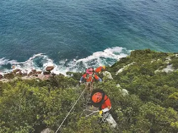 大鹏新区抗击18号台风工作会议召开