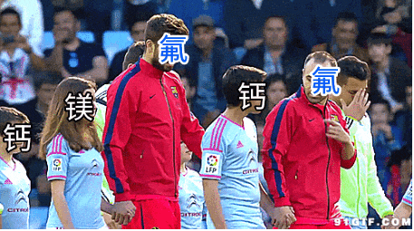 未命名(2).gif