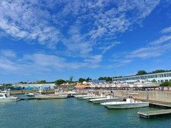 金融“鱼群”游进蓝色牧场：青岛海洋经济新养殖记